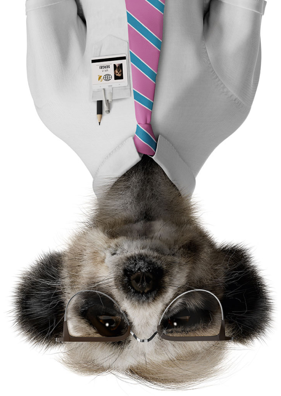 Sergei Upside Down Sergei Upside Down